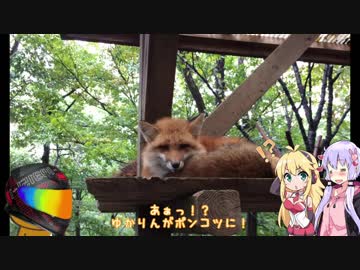 【Ninja1000】のんべんだらりとツーリング_第2回ZBM編part.1【ゆかり＆マキ】