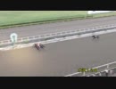 第44回ビューチフルドリーマーカップ（フリオーソ賞） ジュエルクイーン