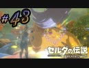 新作ゼルダを風タクしかやったことないうp主がプレイしてしまった part43