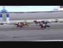 2018年8月26日高知競馬4R 大宮茂ファミリー協賛 ご機嫌よう！特別(C3-2組) ウイングルイーズ
