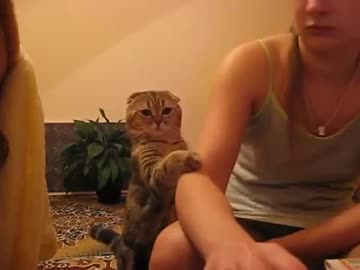 ナデナデして欲しいぬこ(=^・^=)