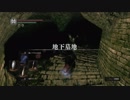 初心者ソウラーのダークソウル実況【40】