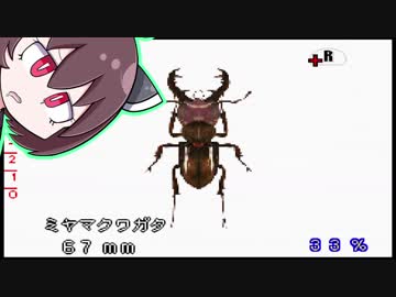 【VOICEROID実況】　東北きりたんの何もない夏休み　#7　【ぼくのカブト・クワガタ】