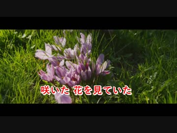 [ニコカラ]-暖かい生き物 ft_ 初音ミク- ピコン offvocal key+1