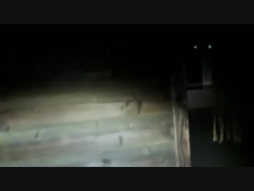 ○平荘跡地　独り肝試し(後半)
