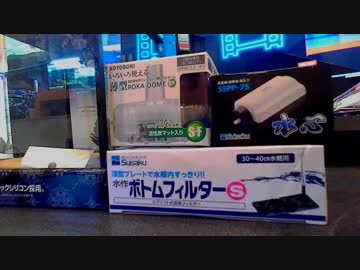 #9　格ゲーマーがアクアリウム_15cmキューブ立ち上げ？