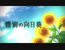 「遠縁×Melky」惜別の向日葵「歌ってみた」