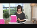 テッポウウオ姉貴 - 保冷 保温が可能! １年中使える小型冷温庫