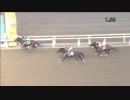 2018年8月28日大井競馬8R 筑後川賞(A2以下) アサクサスターズ