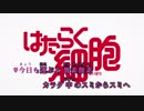 【ニコカラ】ミッション！健・康・第・イチ / 赤血球,白血球,キラーT細胞,マクロファージ (TVsize/on)