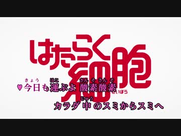 【ニコカラ】ミッション！健・康・第・イチ / 赤血球,白血球,キラーT細胞,マクロファージ (TVsize/on)