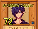 頑張る社会人のための【STARDEW VALLEY】プレイ動画72回
