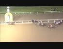 2018年8月29日大井競馬12R 初嵐賞(B2-一・B3-一) ガーデンズキュー