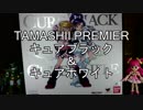 TAMASHII PREMIER キュアブラック & キュアホワイト