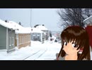 新約雪原の町神社.ПолярныйДень