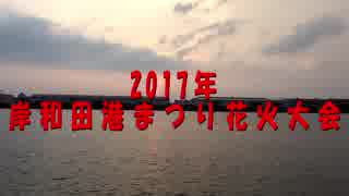 【夏休み特別企画】2017年・岸和田港まつり花火大会【iPhone6Plus動画】