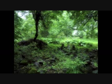 【短編インスト】いにしえの森【オリジナル】