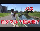 【バス釣り】ロクマル超大物？が釣れた！