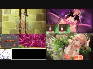 プリンセスディフェンダー ～精霊姫エルトリーゼの物語～　RTA　28:14　超削除対策版