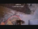 8.31【魚釣り】増水した川や水路に近づいてはいけません