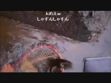 8.31【魚釣り】増水した川や水路に近づいてはいけません