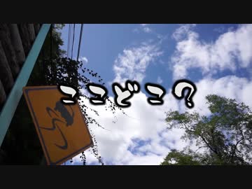 物干しフェザ夫日本ロマンチック街道を行くその2