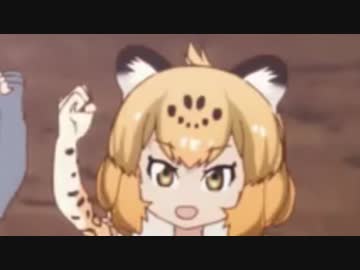 カードジャガターさくら