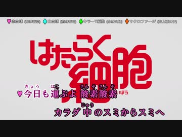 【ニコカラ】ミッション！健・康・第・イチ / 赤血球,白血球,キラーT細胞,マクロファージ (TVsize/off)
