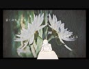 ロマンチシスト／初音ミク