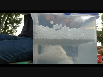 水に浮かべた物体の上にトランプタワーは立つの？【子供トランプタワー相談室】