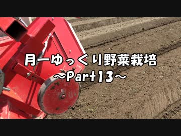 月一 ゆっくり野菜栽培 Part13