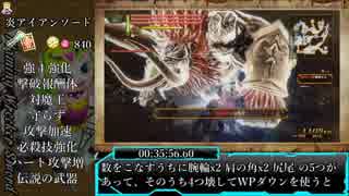 【Switch版】05. ゼルダ無双 黄昏マップRTA　36分48秒(2/2)