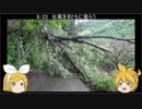 元産直店員の脱サラ農業　第二十回
