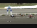 2018年9月2日高知競馬7R チームのぶいんち協賛 祝３０歳郷間勇太特別(C2-ロ・C3-ロ) ネイティブゴールド