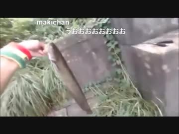 9.03 【魚釣り】小物釣り、久しぶりのどぶ川釣り歩き