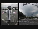 Ninja1000でツーリング！白崎海洋公園ツーその2
