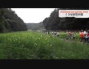 【ポケモンGO】横須賀サファリゾーン参戦【最終日 現場リポート】