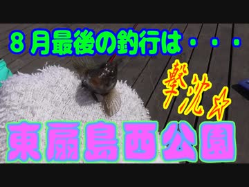 釣り動画ロマンを求めて 186釣目（東扇島西公園）