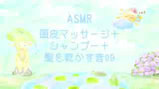 【ASMR】頭皮マッサージ＋シャンプーをする音＋乾かす音09【No Talking】