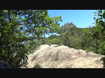 低山を歩こう 觜崎の屏風岩 20180804