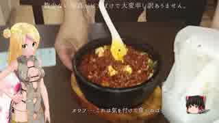 【食レポ】麻婆豆腐（激辛）【味覚 】