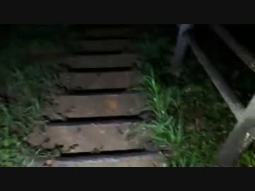 独り肝試し「集団○○のあった湖の裏山道」