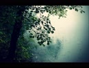 【癒し】カエルの鳴き声と静かな雨の音（睡眠用BGM・作業用BGM）