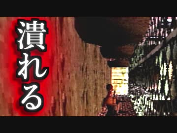【実況】女一人で偉大な秘宝を探します。Part29【トゥームレイダー3】