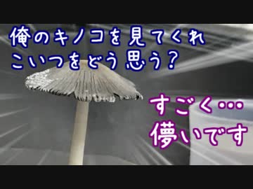 【閲覧注意】三角コーナーにキノコが生えた件
