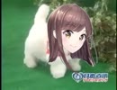 愛犬ロボ「白藤環」