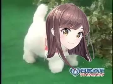 愛犬ロボ「白藤環」