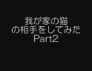 ミンサガもひと段落したので猫2