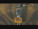 カッシーワさんを１つ下の木に降ろしてみた