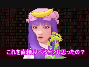 【東方MMD】ポンコツ小悪魔とレミリアのライバル